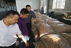 陳國棟總經(jīng)理帶隊考察糧油平臺標桿企業(yè)
